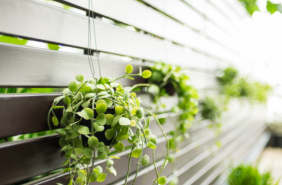 Conheça as vantagens de cultivar um jardim vertical na sua casa